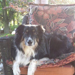 Meet your Posher, Ann